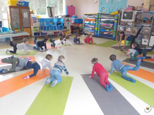 MS/GS A : Le yoga à l'école